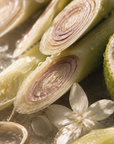 Lemongrass & Persian Lime - Candle 300g