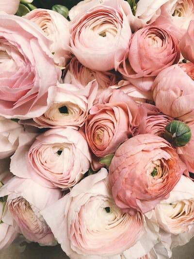 Floral Scents