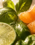 Lime, Basil & Mandarin - Candle tin 100g